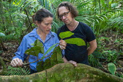 Daisy Dent (left) has moved to Konstanz to investigate movement of frugivorous animals and seed dispersal across disturbance gradients in degraded tropical landscapes.