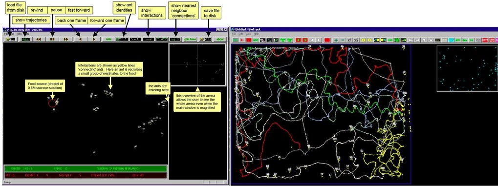 Quantitative approaches to the study of animal behaviour