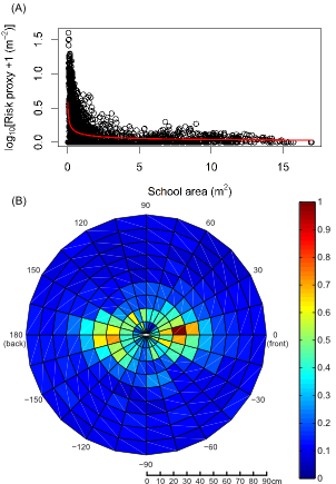 Dynamics of group hunting &amp; collective evasion