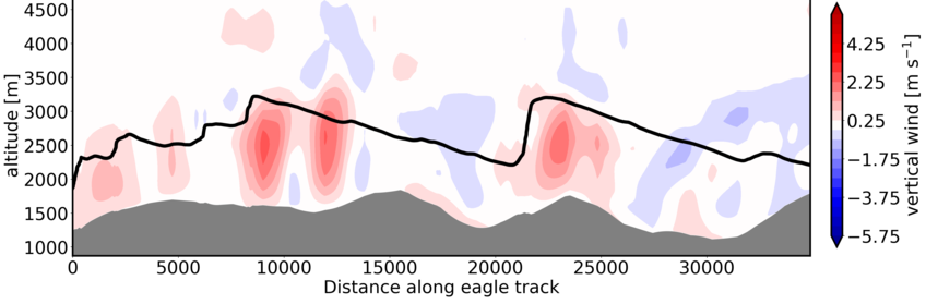 Using bird flight to sense fine-scale complex atmospheric flows