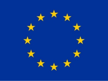 EU Logo