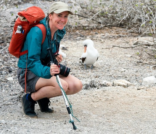 Iguanas from Above: New Airborne Approaches to Population Surveying